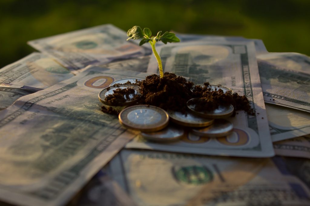 the sun shines on a young plant that sprouts through a pile of coins and bills